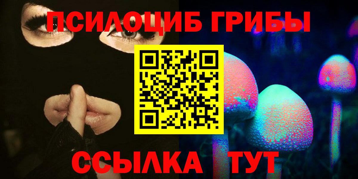 купить наркоту  Псилоцибиновые грибы GOLDEN TEACHER  Вход с VPN  Борзя 