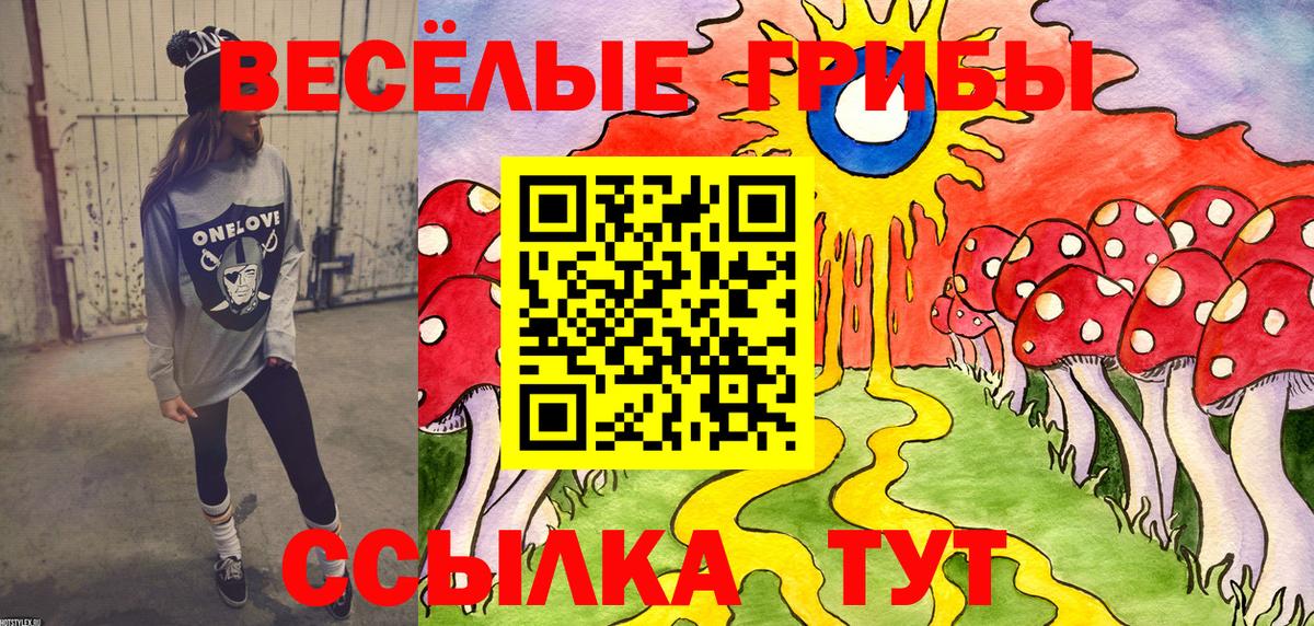 Псилоцибиновые грибы GOLDEN TEACHER Борзя